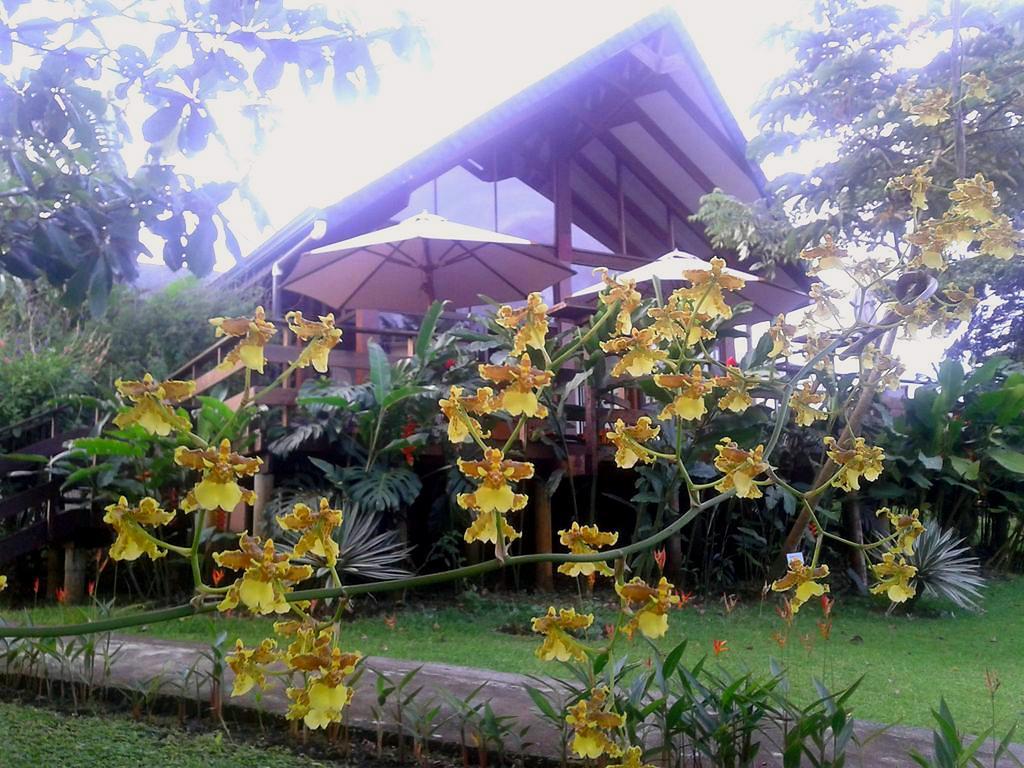 Tenorio Lodge Бихагуа Экстерьер фото