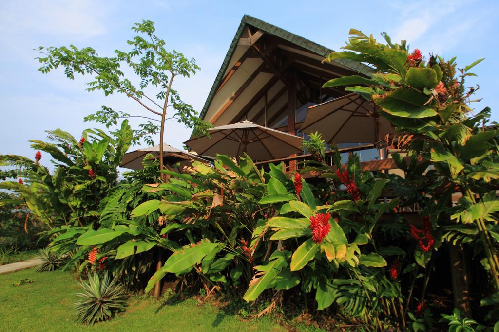 Tenorio Lodge Бихагуа Экстерьер фото